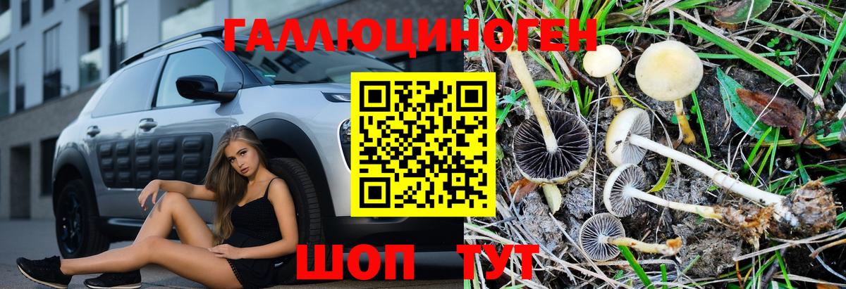 Кумертау  Псилоцибиновые грибы GOLDEN TEACHER  наркотики  Вход с VPN 
