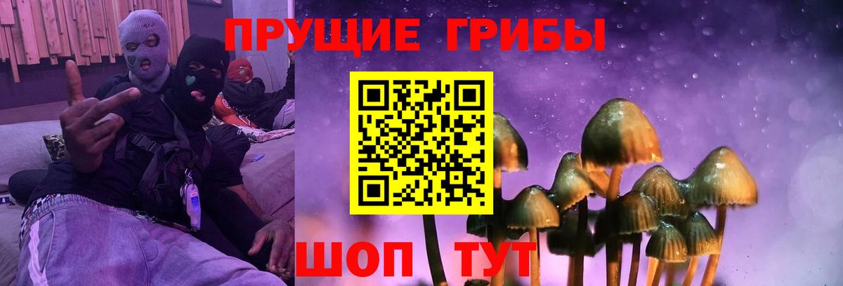 Галлюциногенные грибы Psilocybe Кумертау